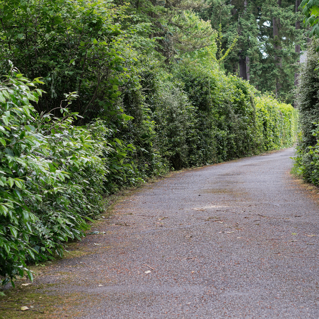 Quality Tarmaced Driveway by WCD in Heswall
